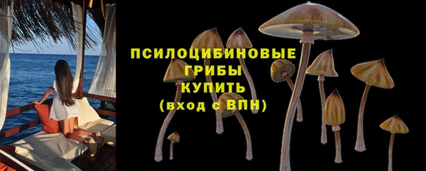 прущие крисы Касимов