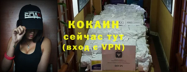 крисы Карпинск