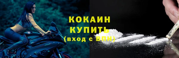 крисы Карпинск