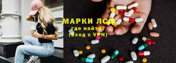 крисы Карпинск