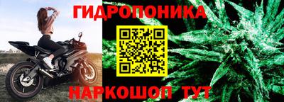 стафф Коммунар