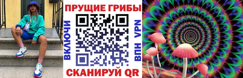 Галлюциногенные грибы мицелий  Кинель 