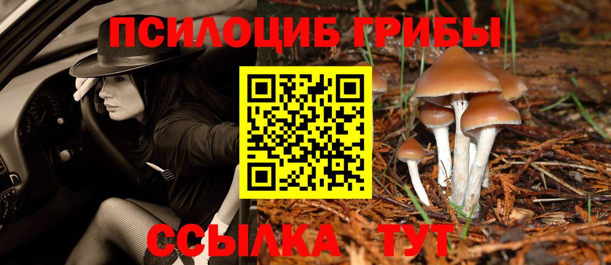 Галлюциногенные грибы ЛСД  Вход с VPN  Галлюциногенные грибы Psilocybe  Кинель 