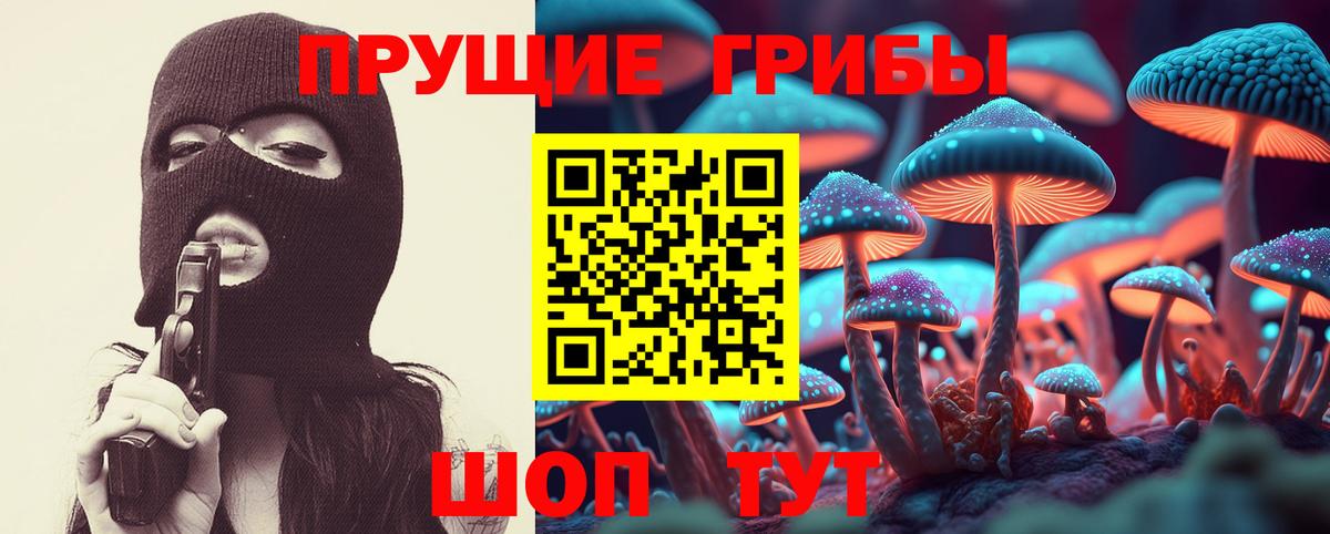 Псилоцибиновые грибы Psilocybe Кинель
